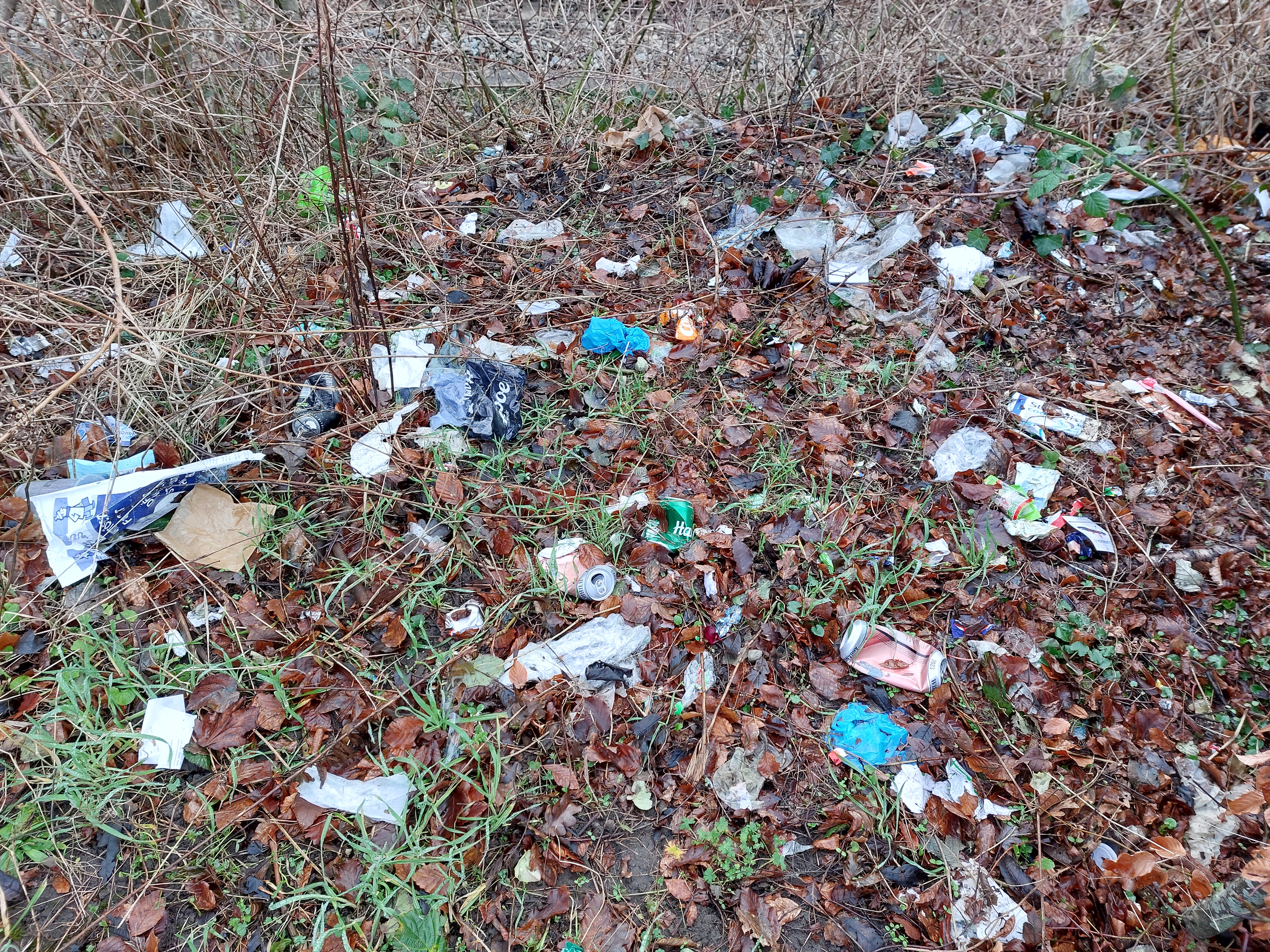 World Clean-up Day Aarhus
