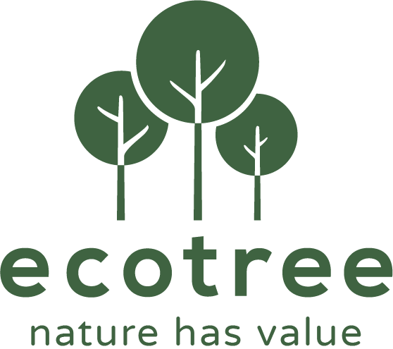 EcoTree International